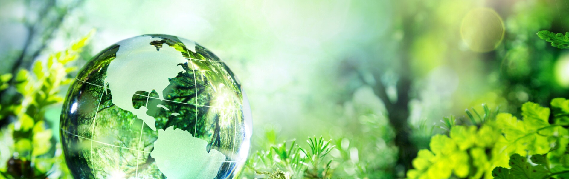 Resinas aptas para certificación ecológica de pinturas